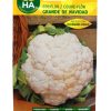 Semillas Coliflor