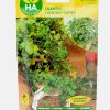 Semillas Cilantro