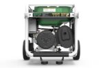 GENERADOR GASOLINA - PROPANO NATURA 3000 GENERGY