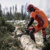 Motosierra HUSQVARNA 565