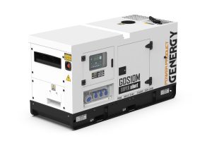 grupo electrógeno GDS10M 2